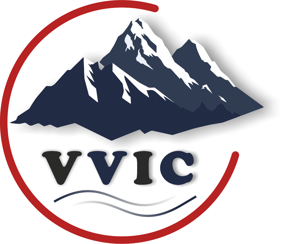 VVIC s.r.o.